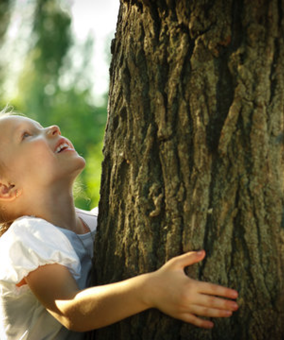 360_F_42328215_pBBeLC9Dl0939jiM7H1W9eHXqzQpC9kr