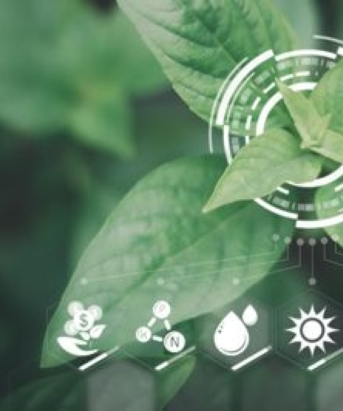 MateriePrimeGreen_pitture_decorative_da_interno